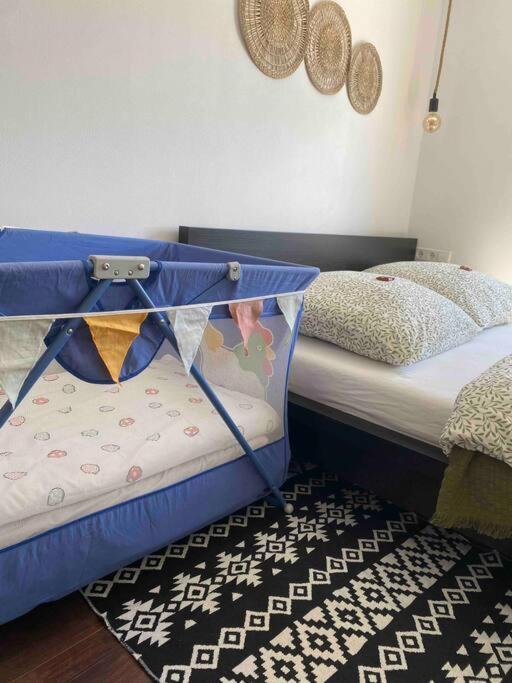 Gemuetliche Wohnung -Schwarzwald Neuweiler  Екстер'єр фото
