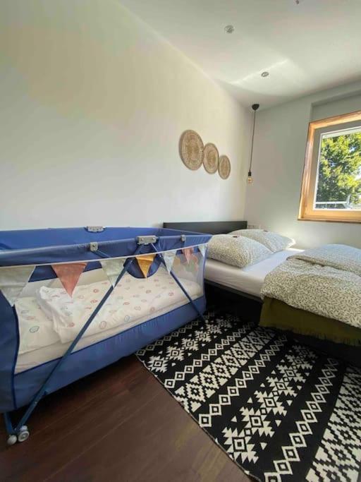 Gemuetliche Wohnung -Schwarzwald Neuweiler  Екстер'єр фото