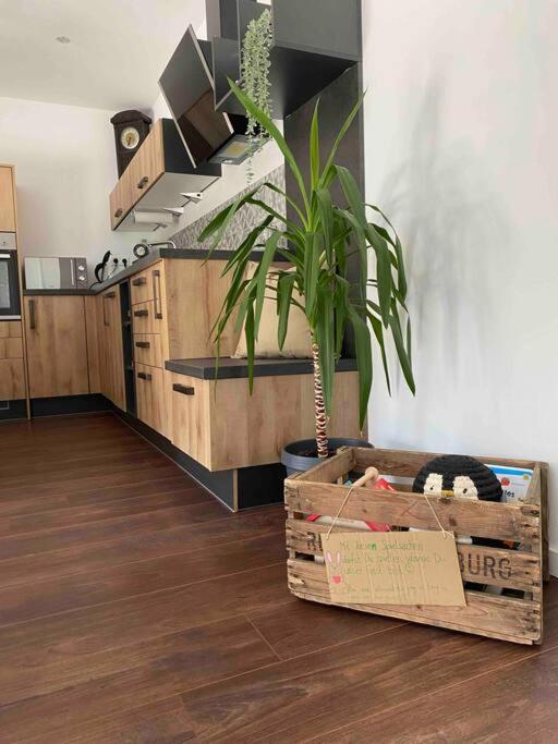 Gemuetliche Wohnung -Schwarzwald Neuweiler  Екстер'єр фото